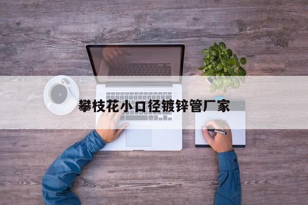 攀枝花小口径镀锌管厂家